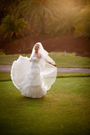 Award Winning Photographer